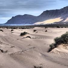 Jable: A Complete Guide to Meaning, Uses, Importance, Trends, and Future Potential