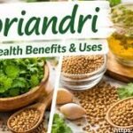 koriandri