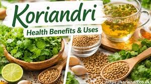 Koriandri: The Complete Guide to Coriander – History, Uses, Benefits, and Cultural Significance