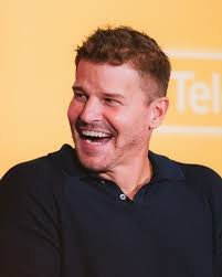 Title: David Boreanaz: A Journey Through Television Stardom and Lasting Influence