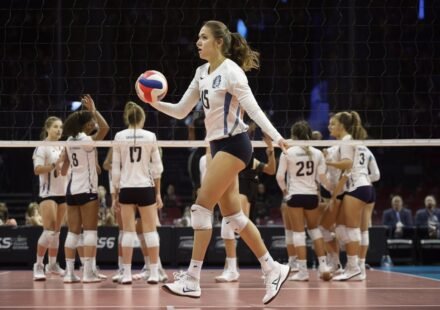aes volleyball