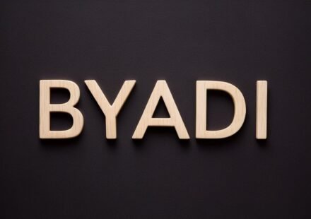 byadi
