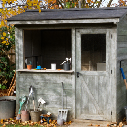 edshed
